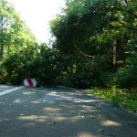 Vom Blitz getroffener Baum auf der Universitätsstrasse Dortmund nach dem Unwetter Juli 2008