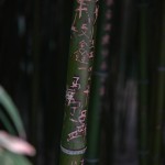 Beschrifteter Bambus